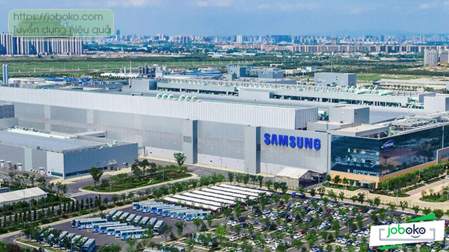 co nen lam viec o samsung khong 2