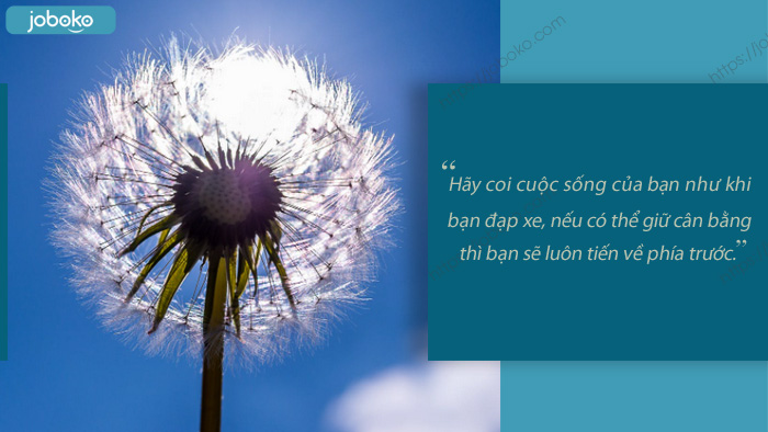 nhung cau noi hay ve cuoc song tinh than 3