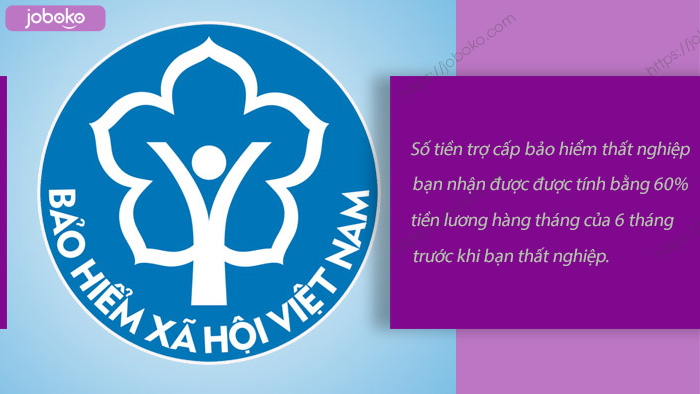 bao hiem that nghiep 2