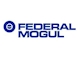 Công ty TNHH Federal-Mogul (Việt Nam)