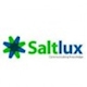 Công ty TNHH Saltlux Technology