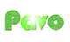 CÔNG TY TNHH CON CÔNG (PAVO VIỆT NAM)