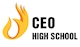 CÔNG TY CỔ PHẦN HỆ THỐNG GIÁO DỤC CEO VIỆT NAM HIGH SCHOOL