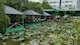 Tuyển nhân viên phục vụ