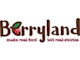 CÔNG TY TNHH BERRYLAND VIỆT NAM