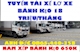 Vận Tải Đông Đô