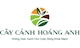 CÔNG TY CỔ PHẦN DỊCH VỤ KỸ THUẬT HOA CÂY CẢNH HOÀNG ANH