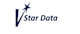 Công Ty V-Star Data