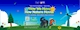 BrainSTEM English Academy