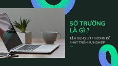 so-truong-la-gi-va-cach-tan-dung-trong-su-nghiep