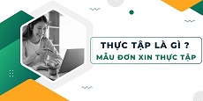 mau-don-xin-thuc-tap
