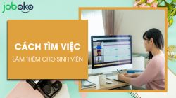 viec-lam-them-cho-sinh-vien