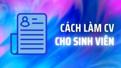 cach-lam-cv-cho-sinh-vien