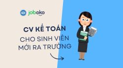 cv-xin-viec-ke-toan