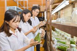 Trường Đại học Tiền Giang