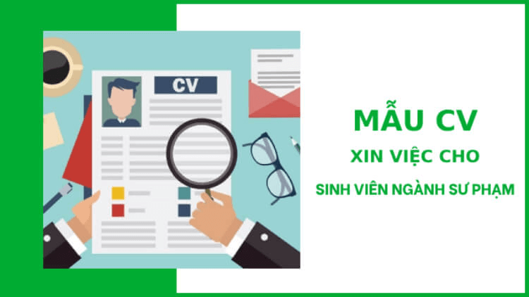 mau-cv-xin-viec-cho-sinh-vien-nganh-su-pham-1