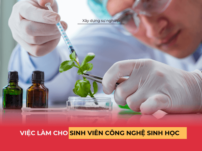 viec-lam-cong-nghe-sinh-hoc