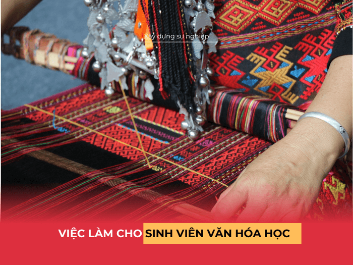 viec-lam-van-hoa-hoc