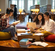 nganh-dong-nam-a-hoc